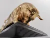 24k Gold Plated Bronze Bull Statue 2