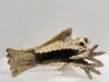 Adler Skulptur Messing 9