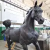 Arabian Horse Bronze Sculpture 1