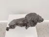 Bronze Lion I Sculpture 5