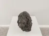 Bronze Lion I Sculpture 7