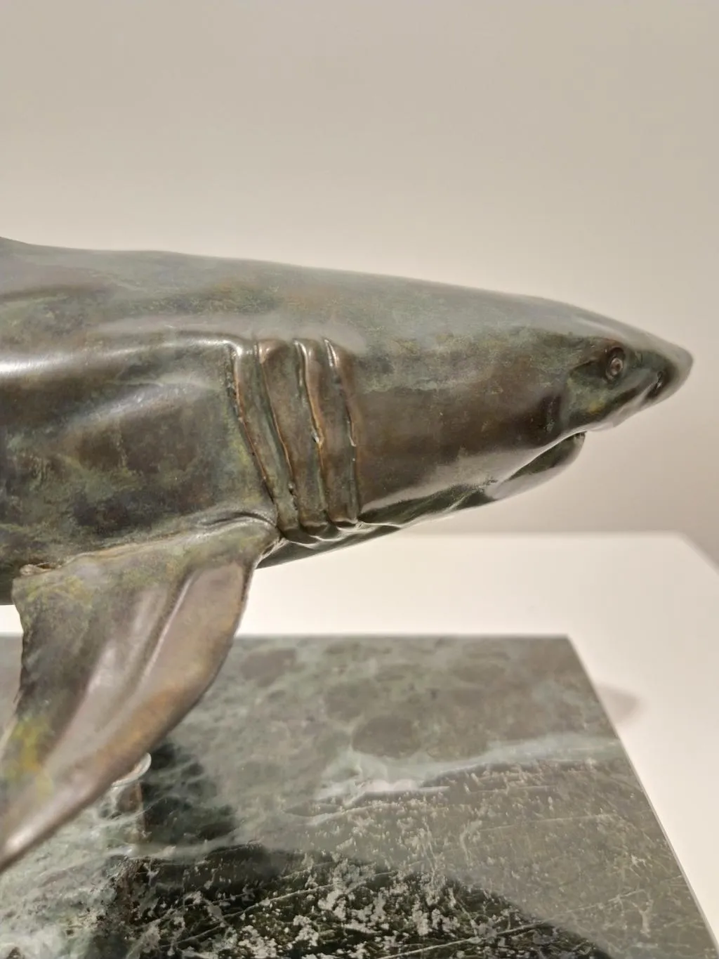 Bronze White Shark Sculpture 2
