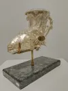 Griechisches Silber Rhyton mit Widderkopf 6