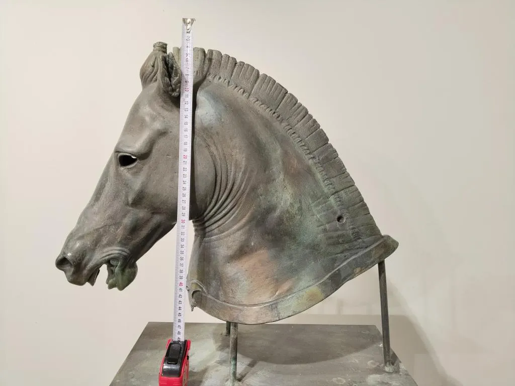 Medici Riccardi Horse Head Grünspan Bronze Guss Replik 13