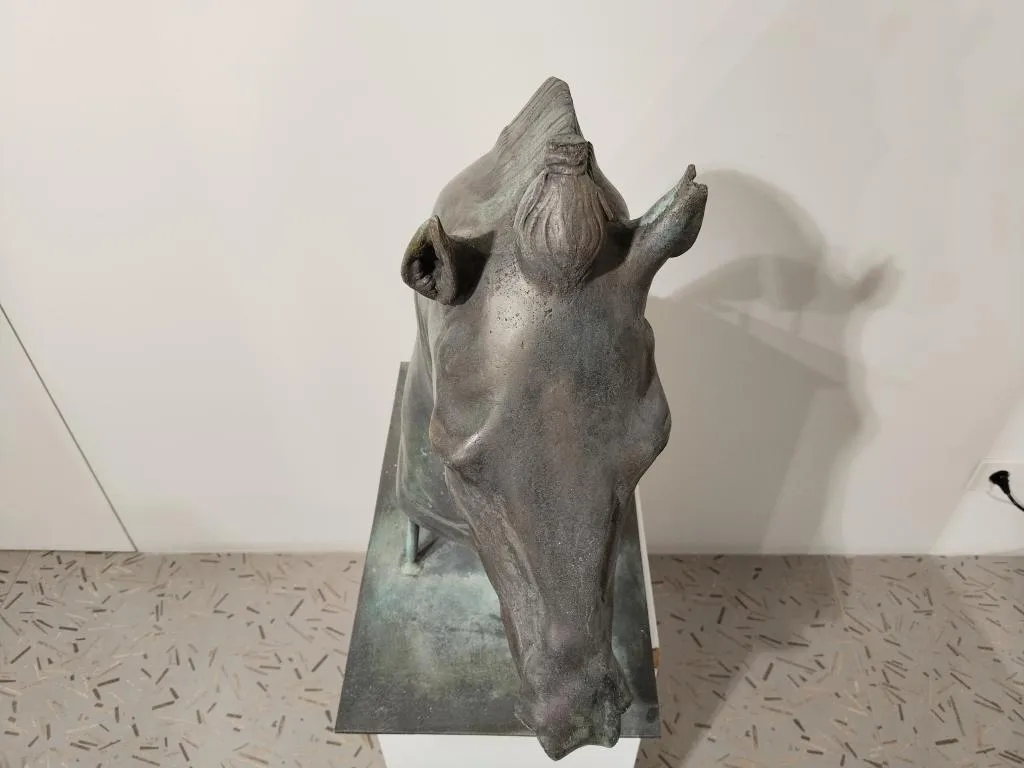 Medici Riccardi Horse Head Grünspan Bronze Guss Replik 6