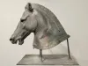Medici Riccardi Horse Head Grünspan Bronze Guss Replik