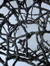 Sculptural Branch Chair for Outdoor Dining 7