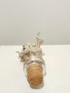 Silver bottle stopper Satyr 8