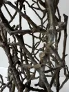 Skulpturaler Bronze Beistelltisch 2