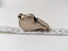 The ACME Thunderer Whistle Pfeife No 58 LMS Railway Made In 9