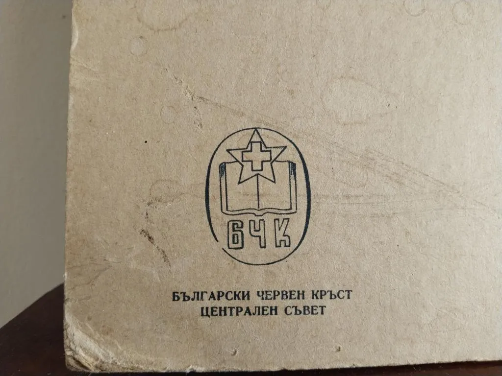 Vintage Human Medical Anatomy Posters 1950s 10