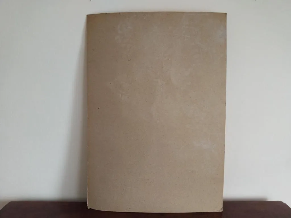 Vintage Medizinische Anatomie-Lernposter 1950er 12