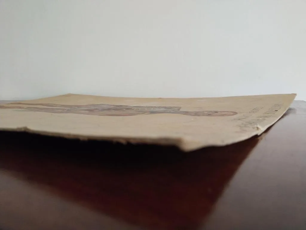 Vintage Medizinische Anatomie-Lernposter 1950er 14